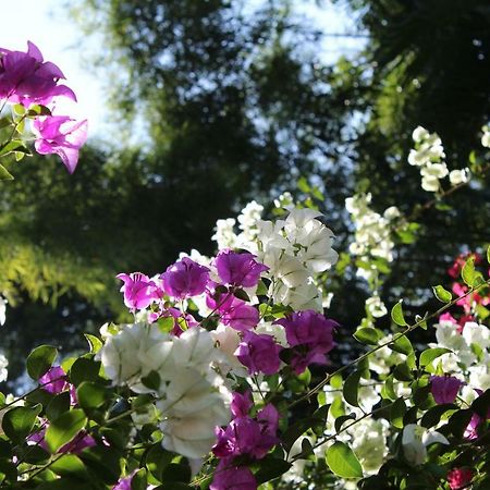 Отель Secret Garden Chiangmai San Kamphaeng Экстерьер фото